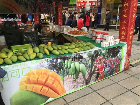 南京西瓜圃橋在哪裏：探索一座城市與瓜果的緣分